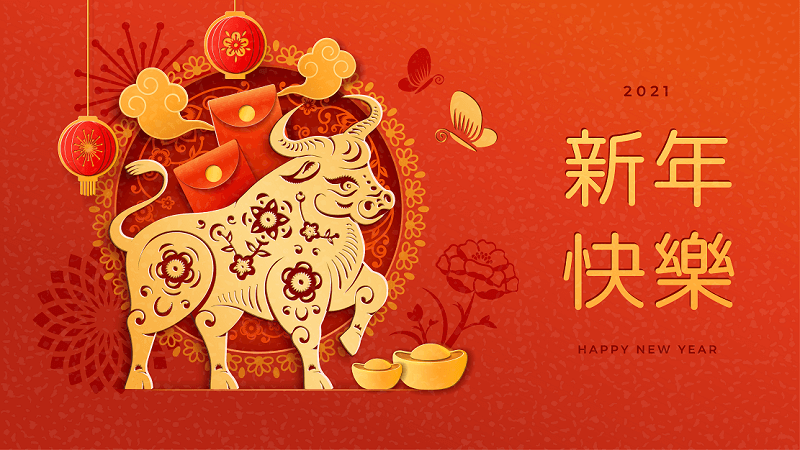 happy-2021-lunar-new-year-usee-packaging