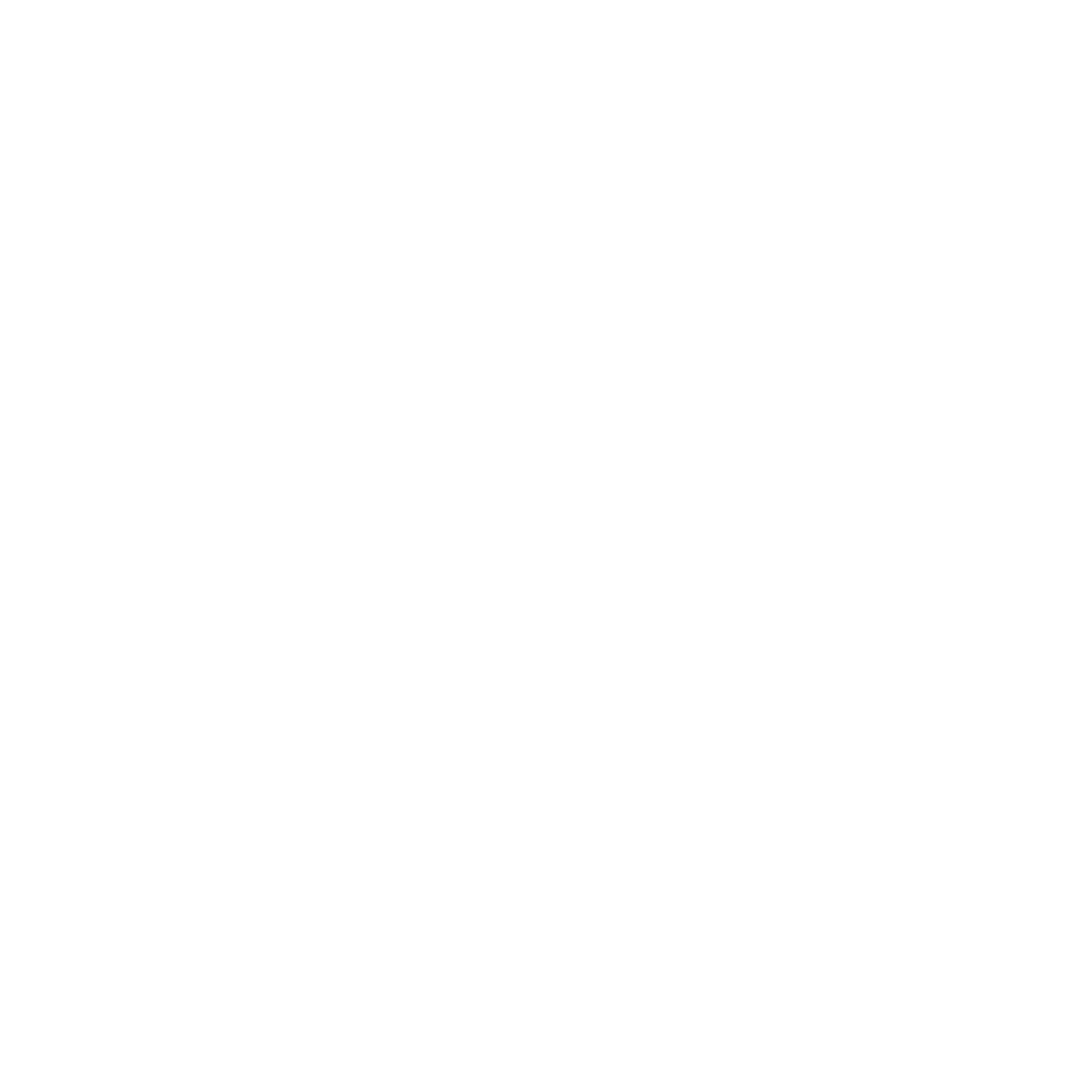 SLINGSHOT-logo